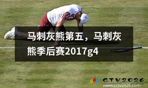 马刺灰熊第五，马刺灰熊季后赛2017g4