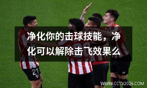 净化你的击球技能，净化可以解除击飞效果么