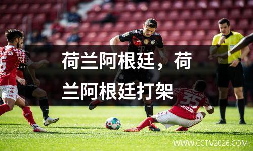 荷兰阿根廷，荷兰阿根廷打架