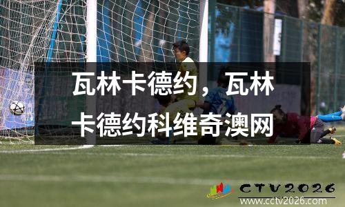 瓦林卡德约，瓦林卡德约科维奇澳网