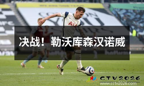 决战！勒沃库森汉诺威