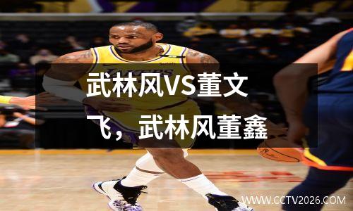 武林风VS董文飞，武林风董鑫