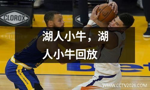 湖人小牛，湖人小牛回放