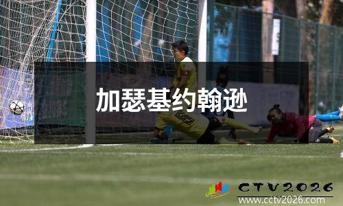 加瑟基约翰逊