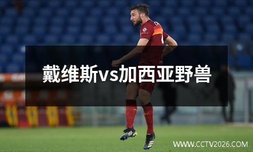 戴维斯vs加西亚野兽