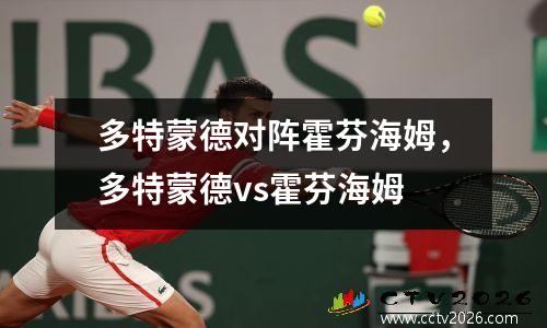 多特蒙德对阵霍芬海姆，多特蒙德vs霍芬海姆