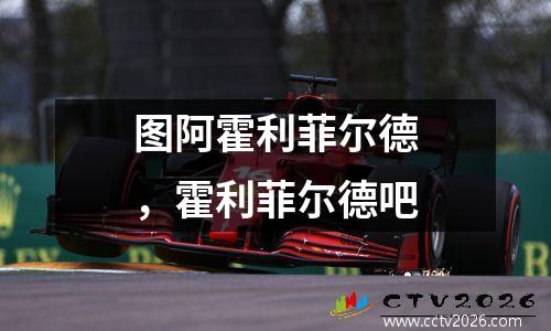 图阿霍利菲尔德，霍利菲尔德吧
