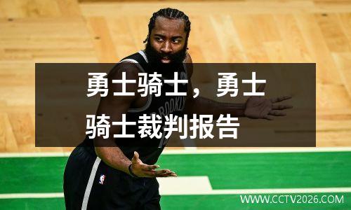 勇士骑士，勇士骑士裁判报告