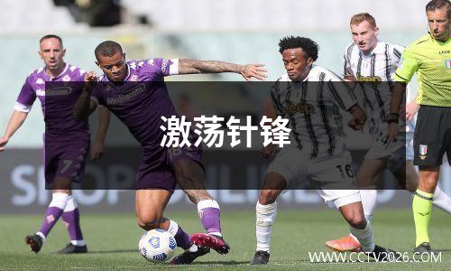 激荡针锋