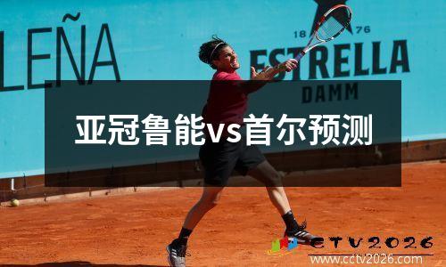 亚冠鲁能vs首尔预测