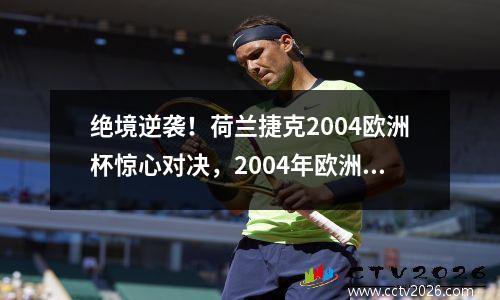 绝境逆袭！荷兰捷克2004欧洲杯惊心对决，2004年欧洲杯荷兰vs捷克