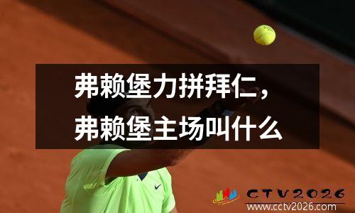 弗赖堡力拼拜仁，弗赖堡主场叫什么