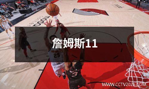 詹姆斯11