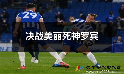 决战美丽死神罗宾