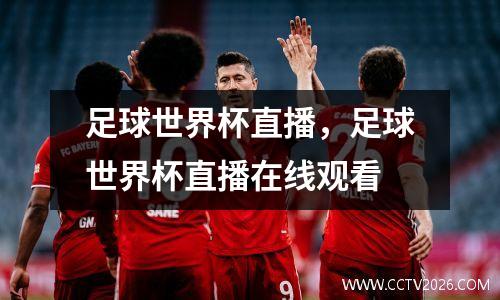 足球世界杯直播，足球世界杯直播在线观看