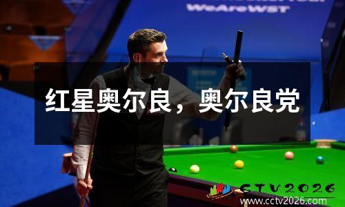 红星奥尔良，奥尔良党