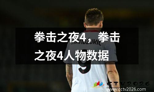 拳击之夜4，拳击之夜4人物数据