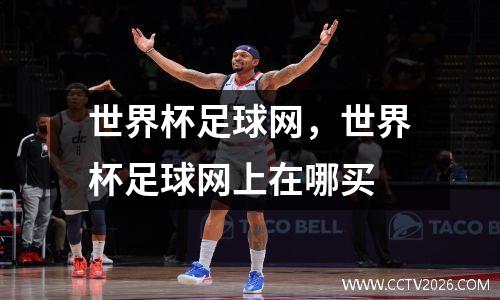 世界杯足球网，世界杯足球网上在哪买