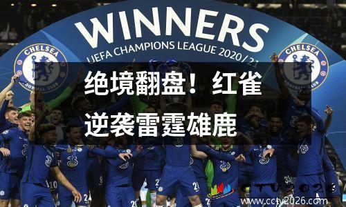 绝境翻盘！红雀逆袭雷霆雄鹿