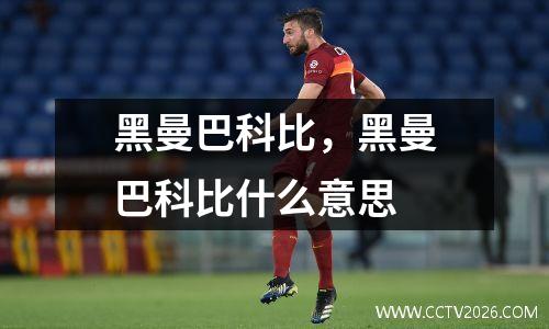 黑曼巴科比，黑曼巴科比什么意思