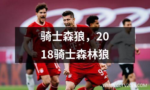 骑士森狼，2018骑士森林狼
