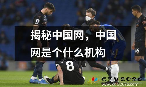揭秘中国网，中国网是个什么机构