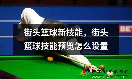 街头篮球新技能，街头篮球技能预览怎么设置