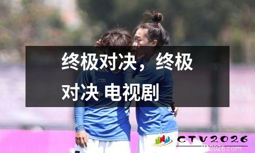 终极对决，终极对决 电视剧