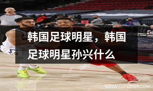 韩国足球明星，韩国足球明星孙兴什么