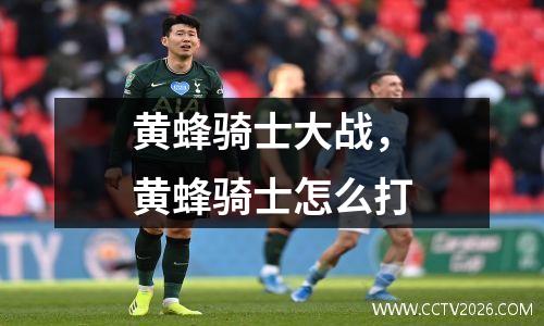 黄蜂骑士大战，黄蜂骑士怎么打