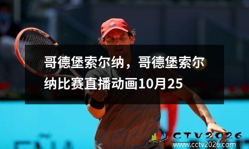 哥德堡索尔纳，哥德堡索尔纳比赛直播动画10月25