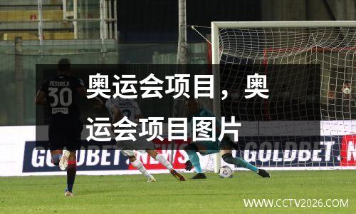 奥运会项目，奥运会项目图片