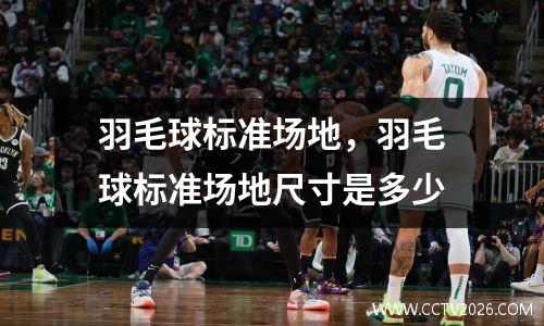 羽毛球标准场地，羽毛球标准场地尺寸是多少