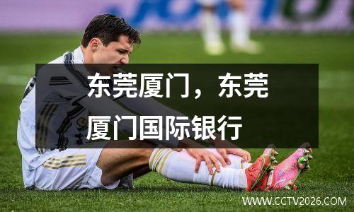 东莞厦门，东莞厦门国际银行