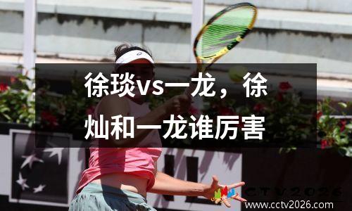 徐琰vs一龙，徐灿和一龙谁厉害