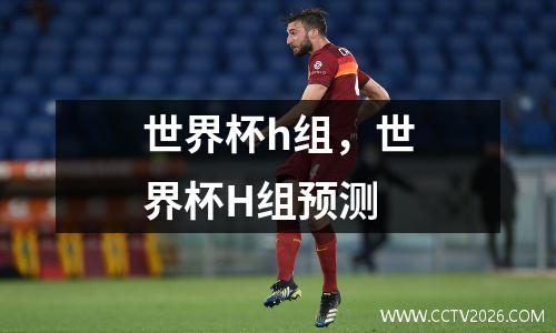 世界杯h组，世界杯H组预测