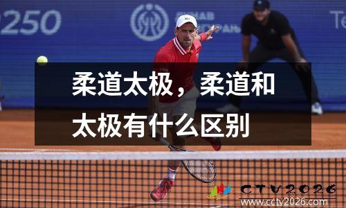 柔道太极，柔道和太极有什么区别