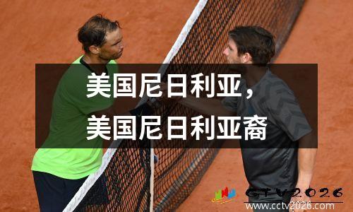 美国尼日利亚，美国尼日利亚裔