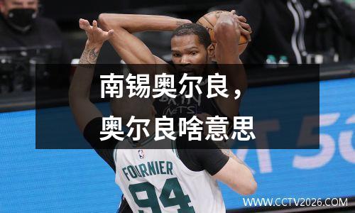 南锡奥尔良，奥尔良啥意思