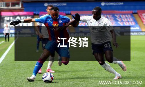 江佟猜
