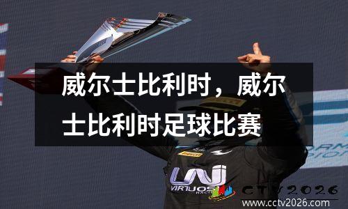 威尔士比利时，威尔士比利时足球比赛