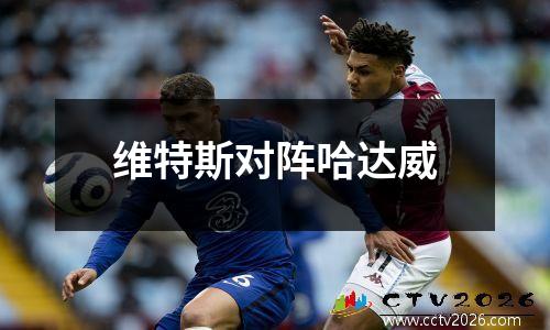 维特斯对阵哈达威