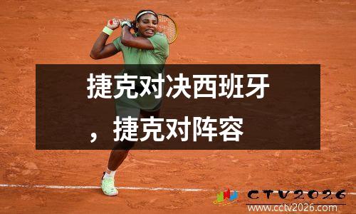 捷克对决西班牙，捷克对阵容