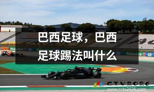 巴西足球，巴西足球踢法叫什么