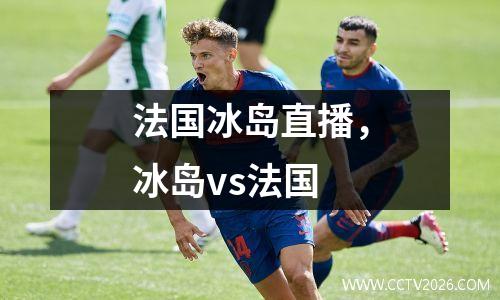 法国冰岛直播，冰岛vs法国