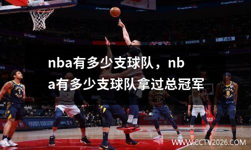 nba有多少支球队，nba有多少支球队拿过总冠军
