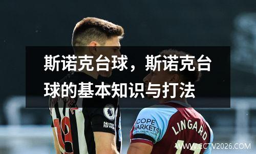 斯诺克台球，斯诺克台球的基本知识与打法