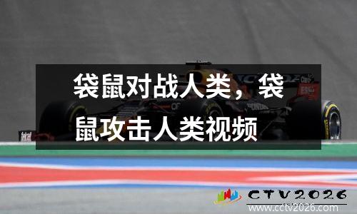袋鼠对战人类，袋鼠攻击人类视频
