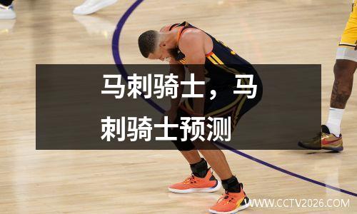 马刺骑士，马刺骑士预测