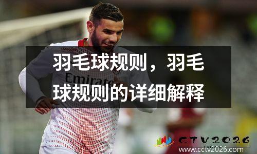 羽毛球规则，羽毛球规则的详细解释